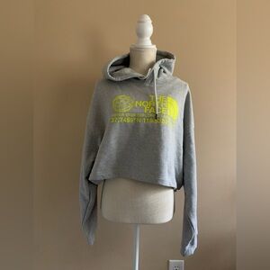 The North Face Gray Hoodie with Yellow Print